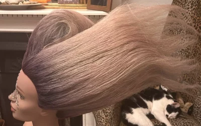 Avant Garde Hair Sculpture takes Flight